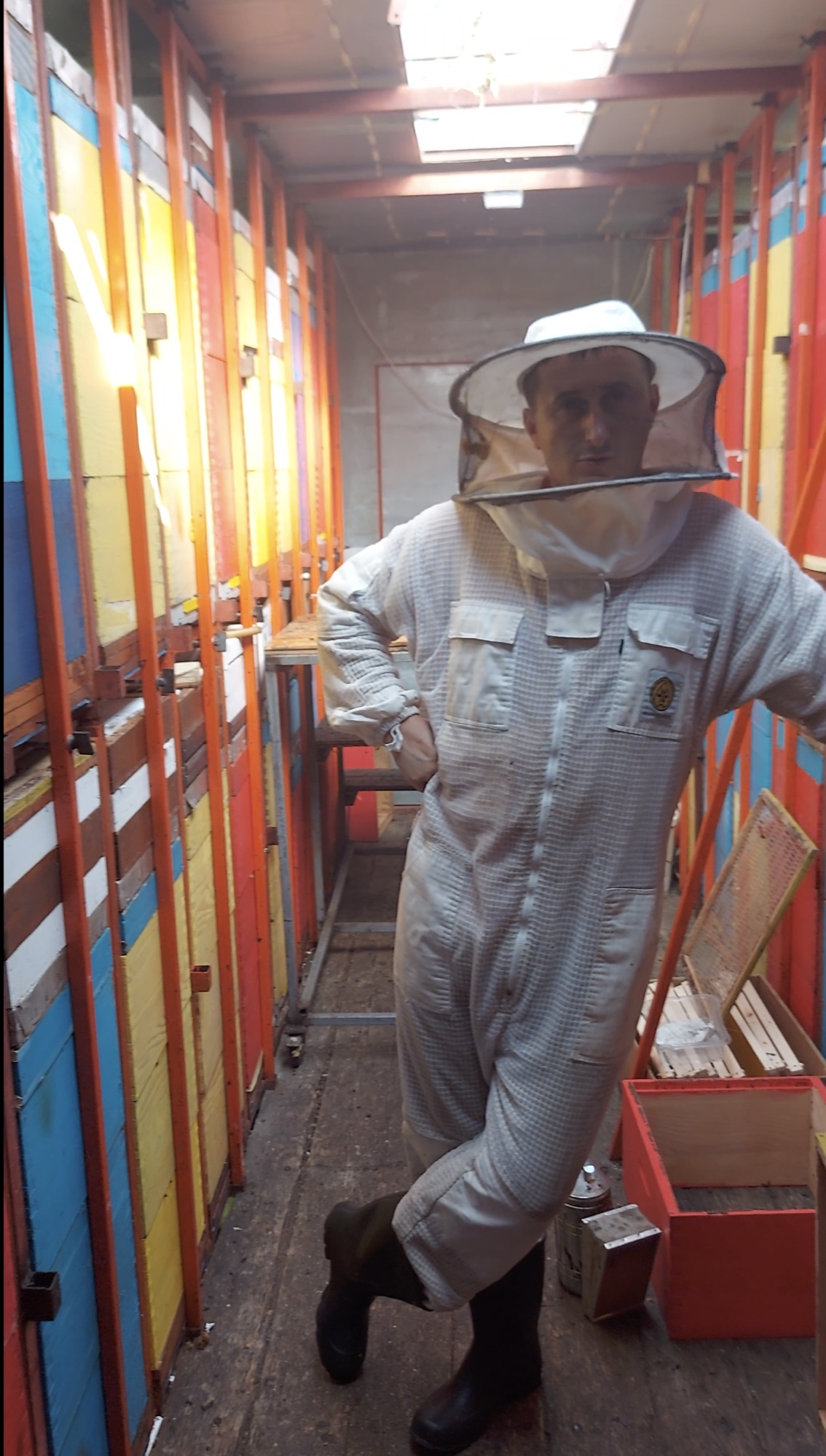Inside a beehive, frames covered in bees