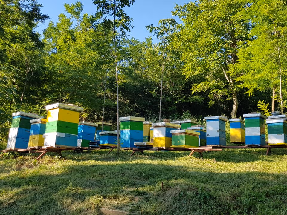 A HiveBits apiary in the field