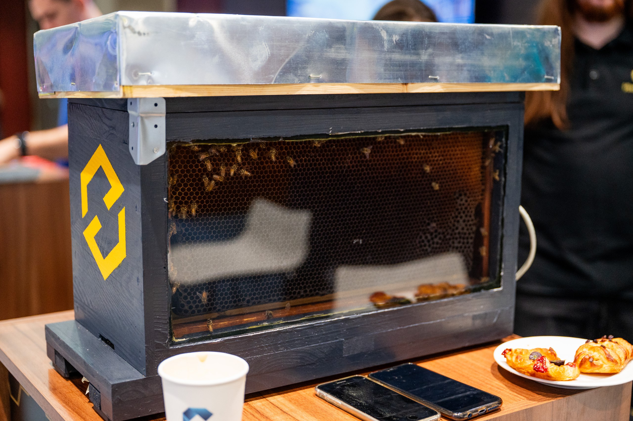Hive as a Node